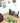 Sbob Bill Hand-Tufted Wool Rug