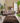 Modern Soft Shaggy Rugs