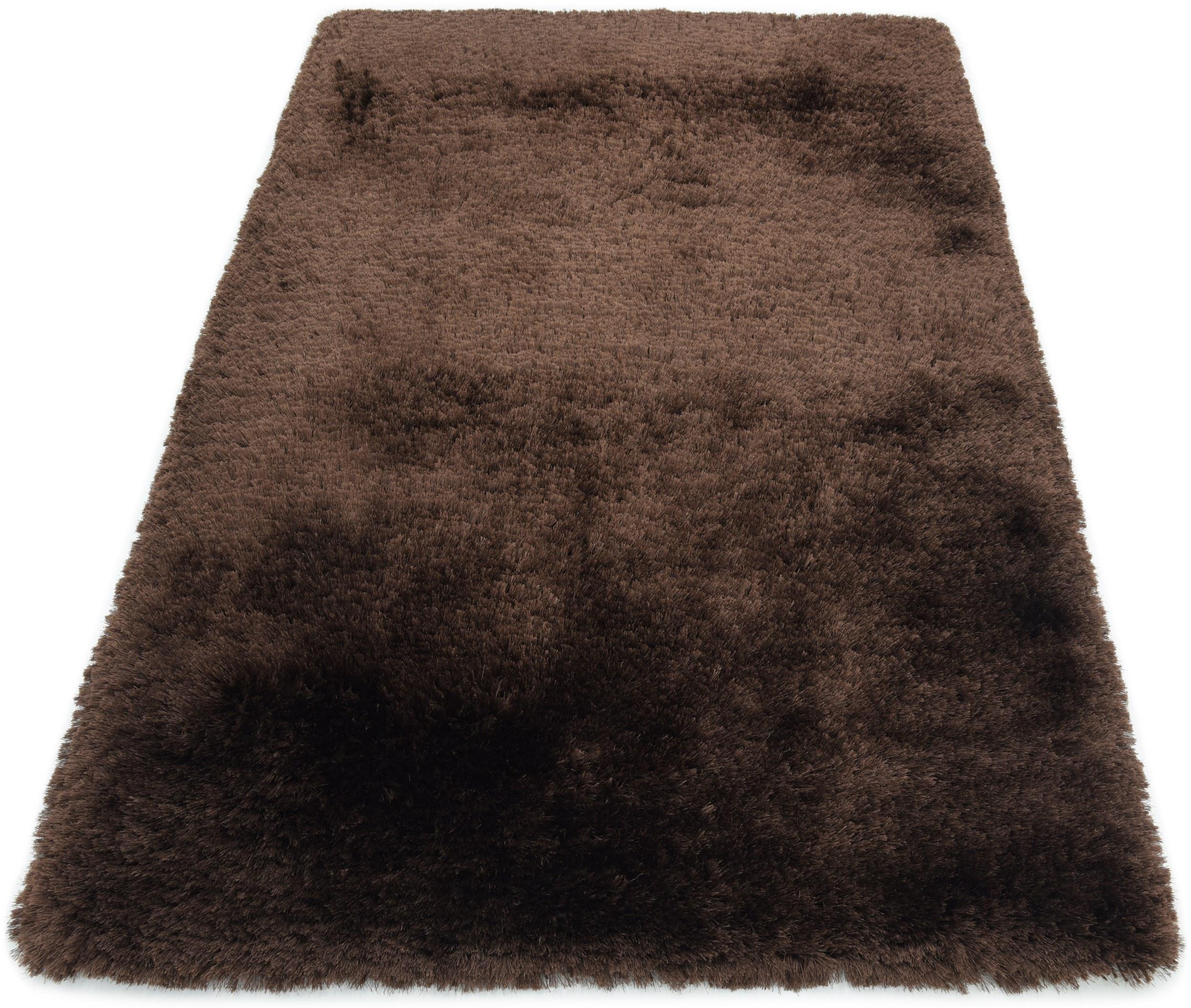 Brown-Poly-5.jpg